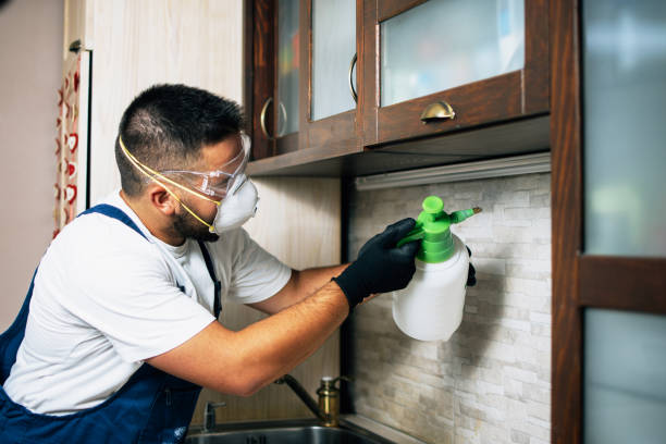 Best Residential Pest Control  in Houston, PA