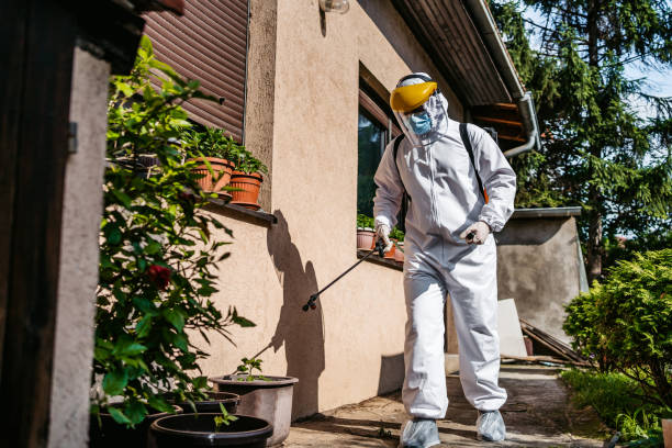 Best Termite Control Services  in Houston, PA